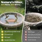 NNG 2 Pack Bird Bath Copper Disk, 1mm Thick Reinforced 99.9% Pure Copper Bird - Image 2