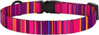 Cat Collars 2 Pack - Image 8