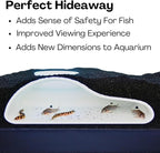 Aquarium Underground Tunnel Cave Natural Curve | Viewing Fish & Shrimp Under - Image 4