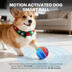 Pet Prime Interactive Dog Ball Toy Automatic Active Rolling Ball - Image 3