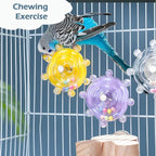 Bird Toys for Parakeets, Colorful Parakeet Toys Wheel, Interactive Spinner - Image 3