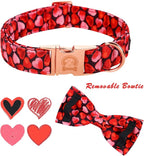 MR. CHUBBYFACE Valentines' Dog Collar - Image 2