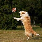 3-PACK Interactive Dog Toys Ball Suitable - Image 4