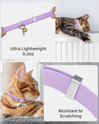 Cat Collar with Bell, Stretch Elastic Quick Release, Non Breakaway Lightweight - Image 2