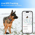 Dog GPS Tracker, Smart Waterproof Tracker - Image 8