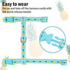 PUPTECK Adjustable Cat Harness and Leash Set Escape Proof Kitten Strap Collar - Image 4