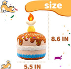Dog Birthday Cake Toy, Interactive Crinkle Chew Toy - Image 6
