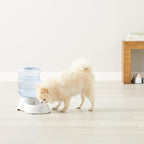 Amazon Basics Gravity Pet Water Dispenser - Image 10