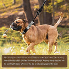 Hikiko Reflective Martingale Dog Collars - Image 5