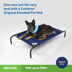 Coolaroo Original Elevated Dog Bed - Image 2