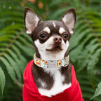 Unique style paws Dog Collar Metal Buckle Pizza Collar Gift Durable Cute Collar - Image 4