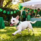DOGWONG St Patrick's Day Dog Collar-Cute Green Clovers Dog Collars, Adjustable - Image 4