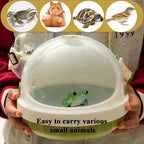 Portable Pet Travel Carrier - Image 4