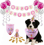 Pet Birthday Party Set, Dogs Bandana and Dog Birthday Hat by Unknown