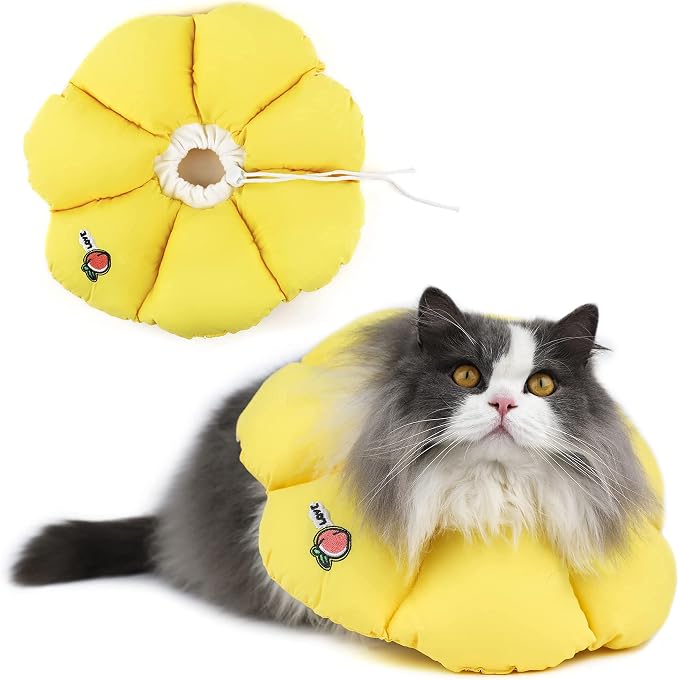 HiDREAM Cat Cone Collar, Cute Waterproof Elizabethan e Collar by HHIDREAM