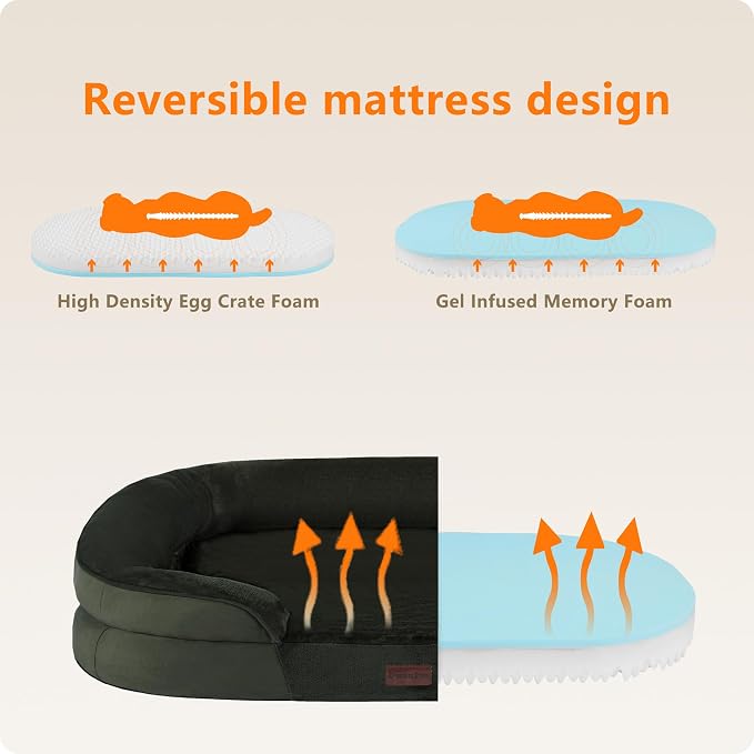 Dwanton Orthopedic Dog Bed for Medium Dogs - Image 3
