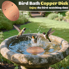 NNG 1 Pack Bird Bath Copper Disk, 1mm Thick Reinforced 99.9% Pure Copper Bird - Image 6