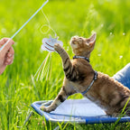NOWFRESH Cat Wand Toy Set, Equipped - Image 5