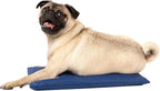 CoolerDog Hydro Cooling Mini Mat - Image 3