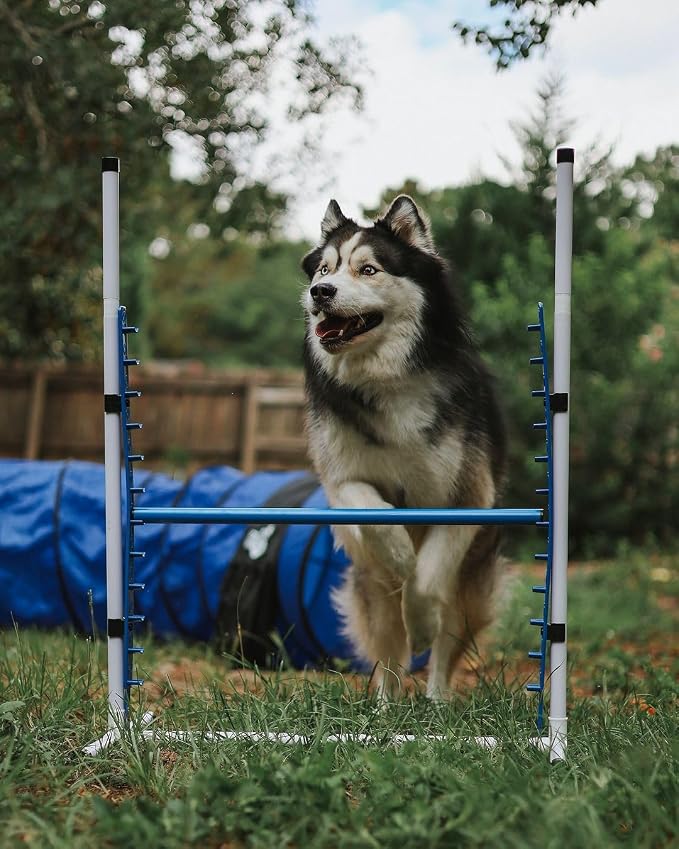 Better Sporting Dogs 4 Pack Adjustable Dog Agility Bar Jumps w/Cup Strips | - Image 3