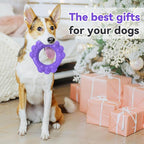 Indestructible Dog Chew Toys for Aggressive Chewers, Super Chewer Toys for - Image 8