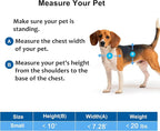 CEESC Dog Door for Pets Up to 20lb, Weatherproof Pet Door for Cats and Dogs - Image 7