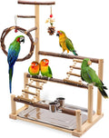 ‌Bird Playground, Natural Wooden Parrot Stand by Unknown