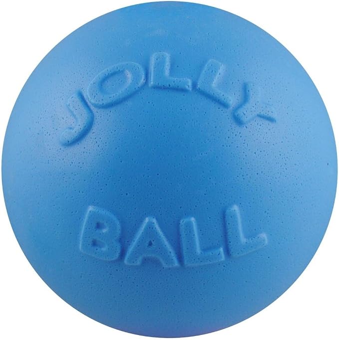Jolly Pets Bounce-n-Play Dog Toy Ball, 8 Inches/Large by JollyPets