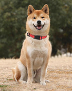 TagME Reflective Nylon Dog Collars, Adjustable Classic Pet Collar - Image 2