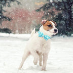 Dog Collar, Bow Collar Blue Bear Pattern Pet Collar Cute Bow Tie Soft Girl Boy - Image 5