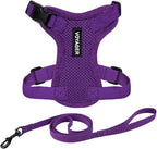 Voyager Escape-Proof Step-in Lock Cat Harness & 5ft Neoprene-Handle Leash Set by BestPetSuppliesLLC