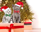 Christmas Cat Collar with Cute Bow Tie Bell 2Pack Red Green Santa Claus - Image 7