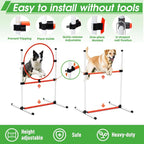 Dog Agility Course Backyard Set, Dog Agility Equipment, Pet obstacle Course - Image 4