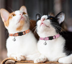 16 PCS Breakaway Cat Collars - Image 7