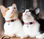 16 PCS Breakaway Cat Collars - Image 7