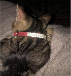 CHUKCHI Soft Velvet Safe Cat Adjustable Collar Bling Diamante - Image 9