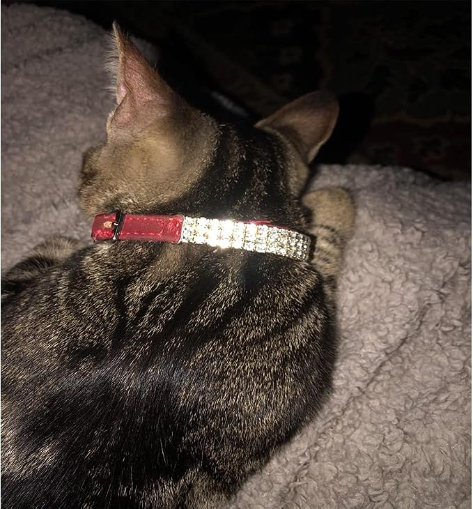 CHUKCHI Soft Velvet Safe Cat Adjustable Collar Bling Diamante - Image 9