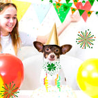 St. Patrick's Day Dog Bandana, 2 Pack Adjustable Holiday Party Pets Saint - Image 4