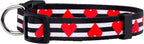 Native Pup Valentine’s Dog Collar- Valentines Day Pet Collars- Valentine Girly - Image 2