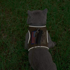 PUPTECK Soft Mesh Cat Vest Harness and Leash Set Puppy Padded Pet Harnesses - Image 6