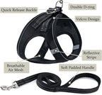 Dog Harness with Leash Set, No Pull Adjustable Reflective Step-in Puppy Pet - Image 2