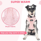 PUPTECK Adjustable Dog Harness Collar and Leash Set Step in No Pull Pet Harness - Image 3