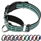 Martingale Dog Collar, Adjustable Nylon Reflective Collar by JOYEEIIOO