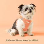 Downtown Pet Supply Step in Dog Harness - Image 5