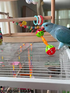 10-Pack Bird Toys for Parrots – Natural Rattan & Plastic Bell Balls – Safe - Image 7