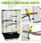 12PCS Natural Wood Bird Perches - Image 6