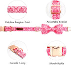 Dog Collar - Image 2