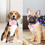 Segarty Dog Bow Tie Collar, Adjustable Pink Bowtie - Image 4