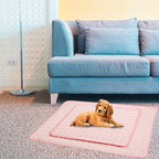 Washable Dog Ice Silk Cooling Mat - Image 5