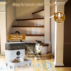 iPettie Automatic WiFi Pet Feeder - Image 8